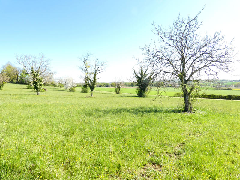 Terrain - 12 124 m²