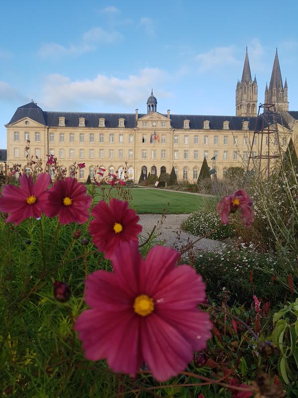 Naturéza Massages énergétiques de bien-être