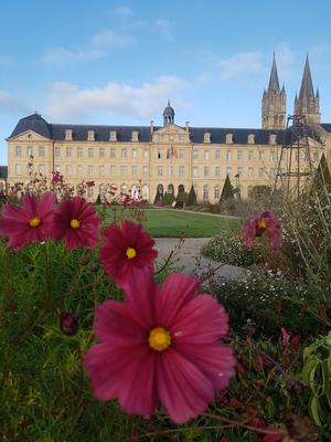 Naturéza Massages énergétiques de bien-être