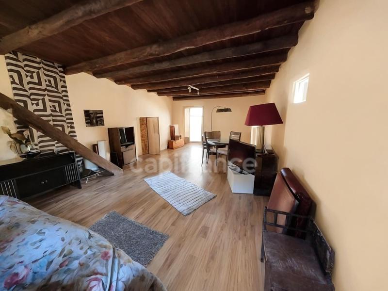 Mas - 500 m² - 11 pièces