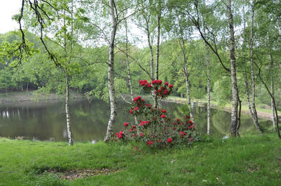 Magasins - 600 m² - 21 pièces