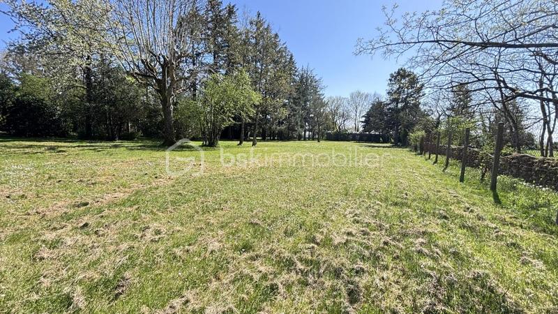 Propriété - 300 m² - 10 pièces