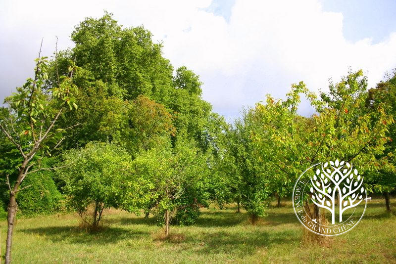 Maison - 435 m² - 16 pièces