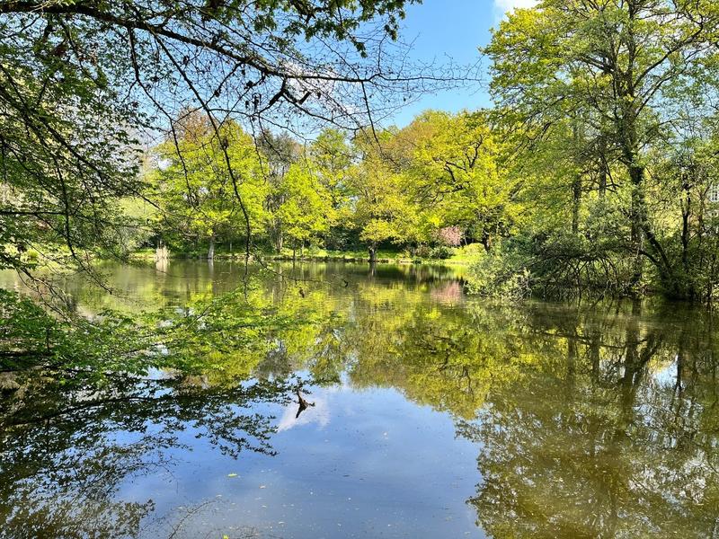 Manoir - 600 m² - 12 pièces