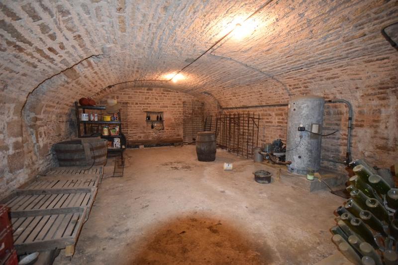 Viager - Maison ancienne - 242 m² - 10 pièces