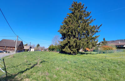 Terrain constructible - 1 591 m²