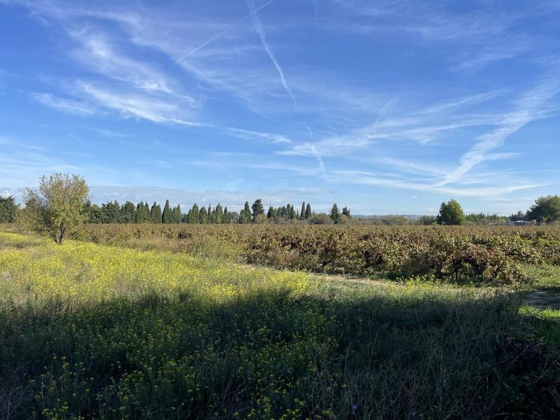 Terrain constructible - 589 m²