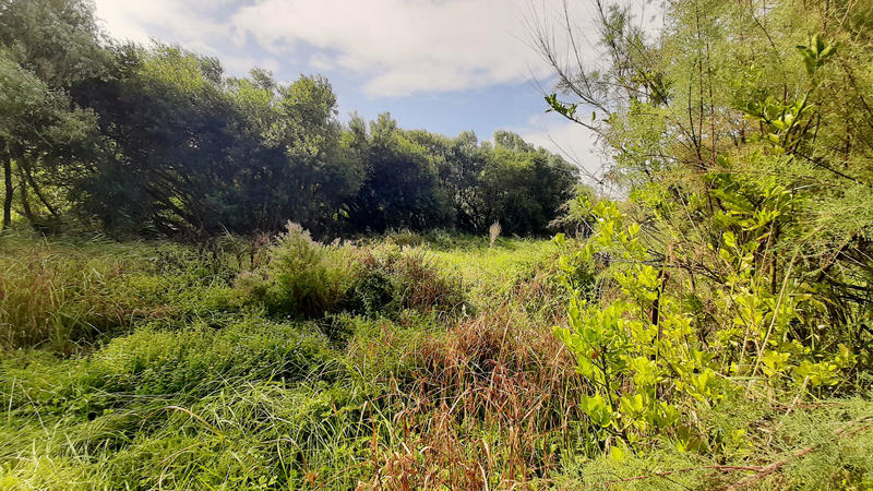 Maison - 126 m² - 6 pièces