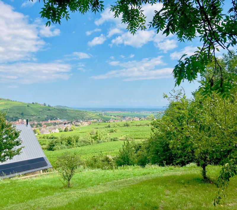 Villa - 295 m² - 15 pièces