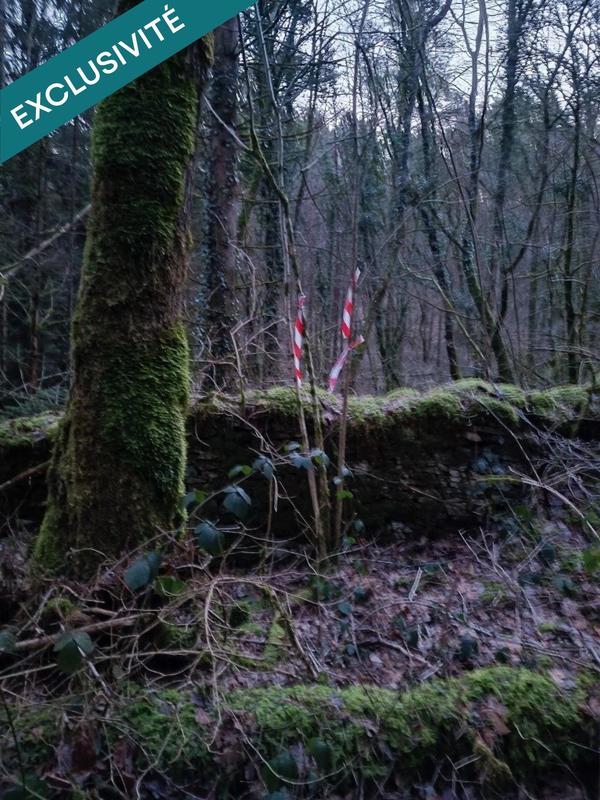 Terrain agricole - 6 175 m²