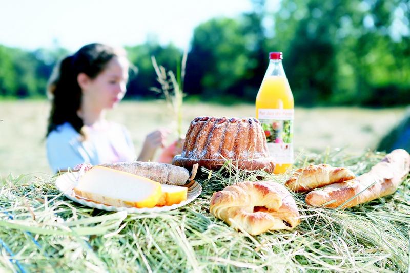 Le réveil des chevreuils