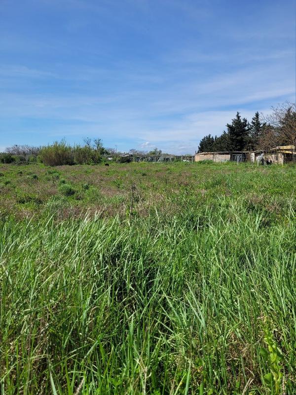 Terrain agricole - 2 452 m²