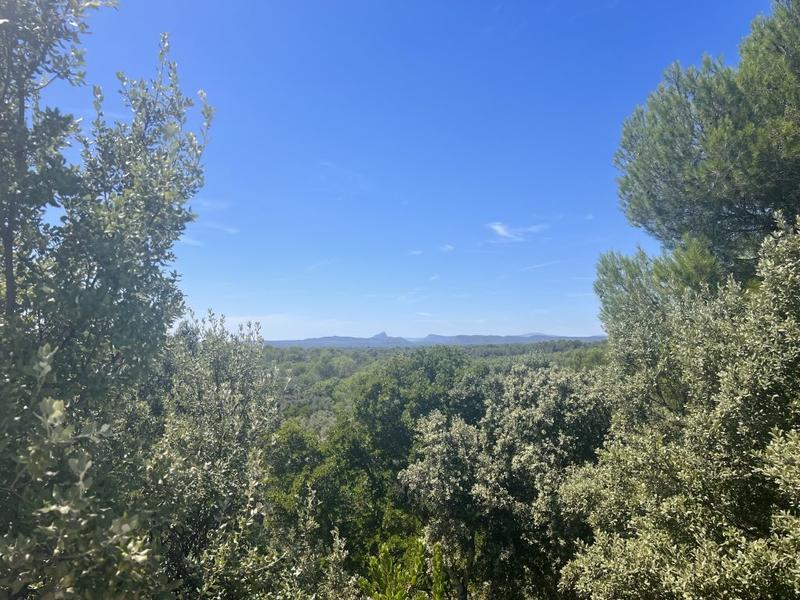 Propriété - 160 m² - 5 pièces