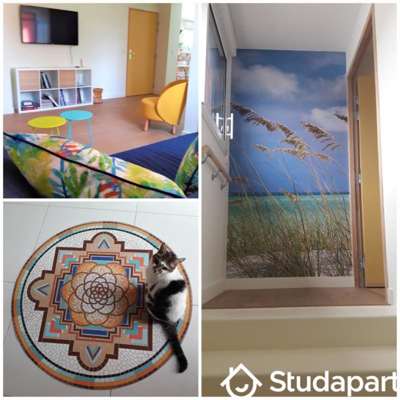 Chambre - 13 m² - 1 pièce