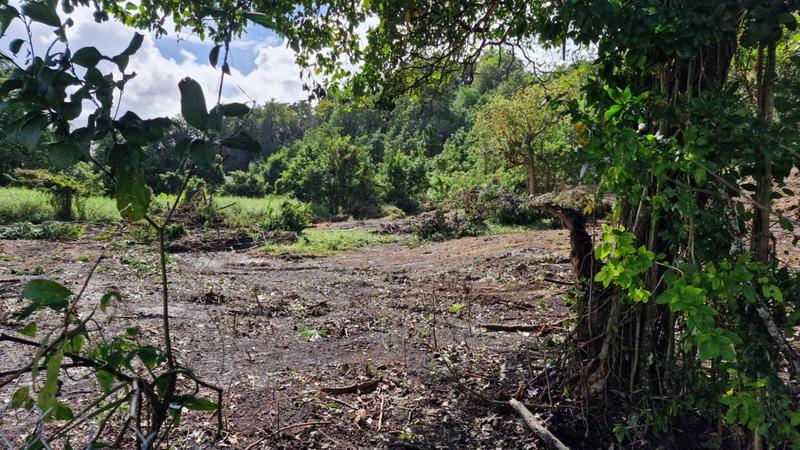 Terrain constructible - 647 m²