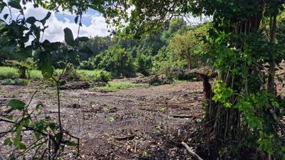 Terrain constructible - 647 m²