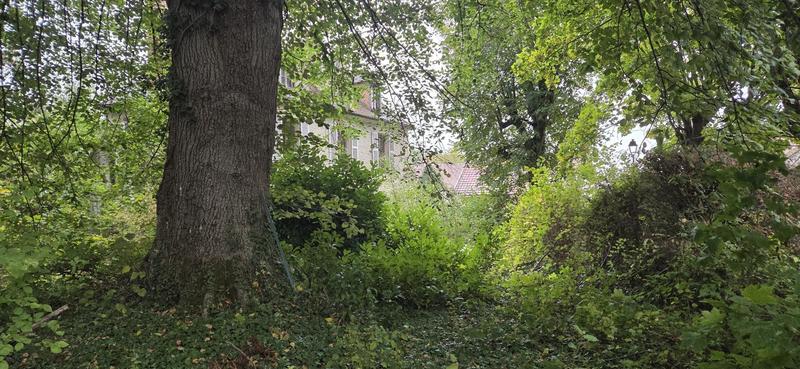 Maison de maîtres - 200 m² - 8 pièces