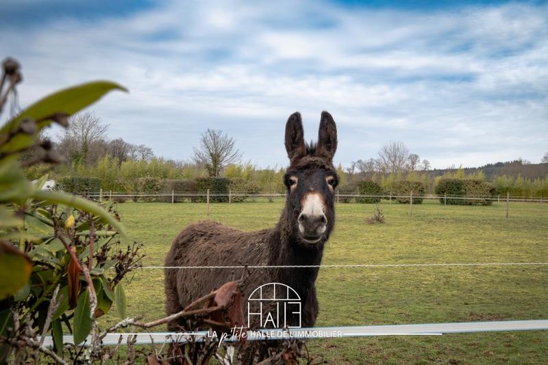 Pavillon - 145 m² - 6 pièces