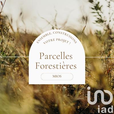 Terrain - 14 174 m²