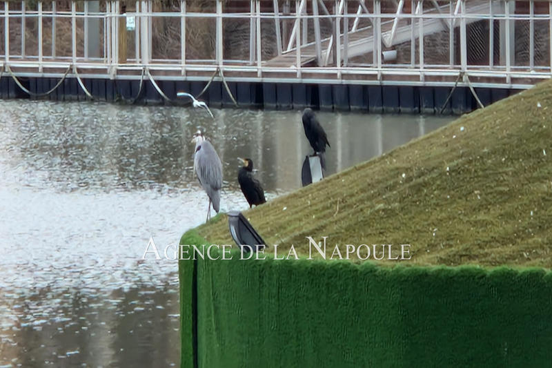 Appartement - 36 m² - 2 pièces