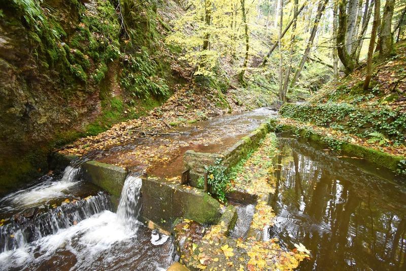 Fonds de commerce - Hôtellerie / Restauration - 1 155 m²