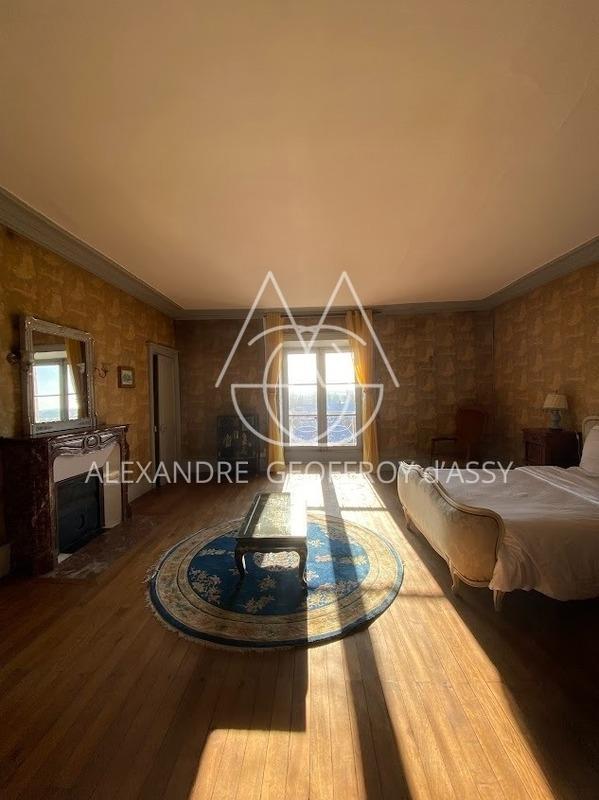 Château - 4 200 m² - 72 pièces