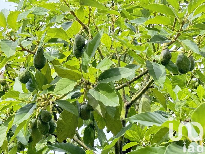 Maison - 187 m² - 7 pièces