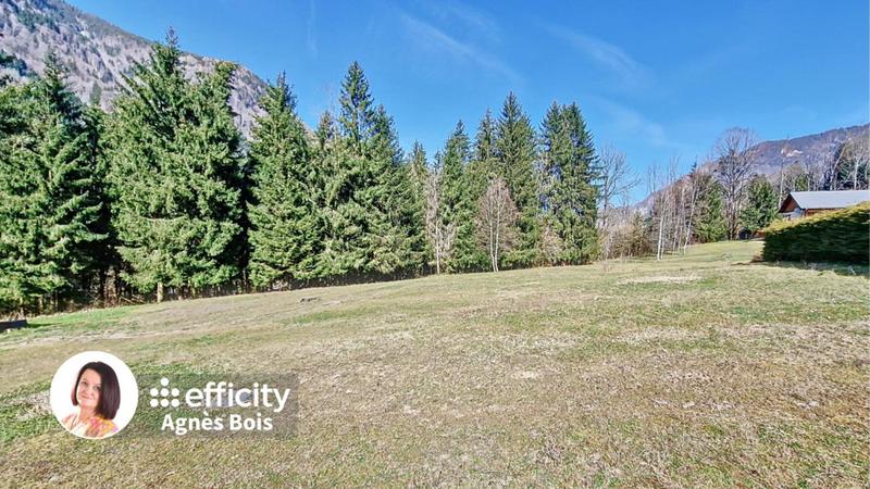 Terrain - 3 596 m²