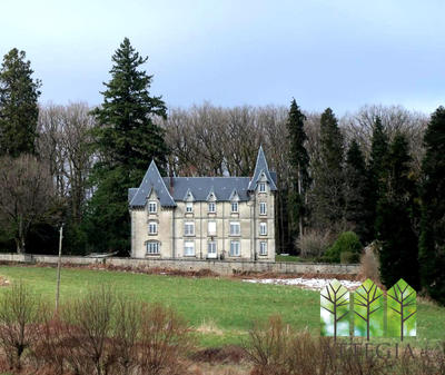 Château - 495 m² - 20 pièces