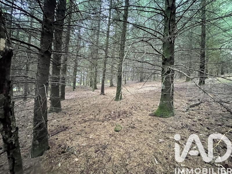 Terrain - 121 370 m²