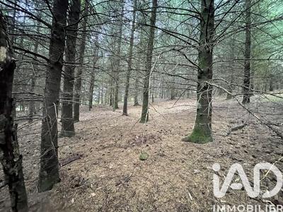 Terrain - 121 370 m²