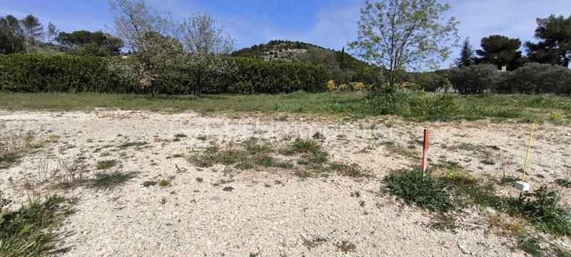 Terrain - 567 m²