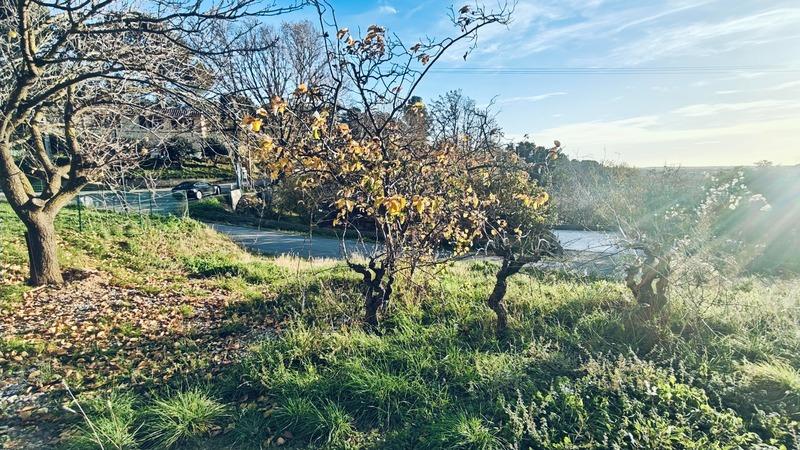 Terrain constructible - 440 m²