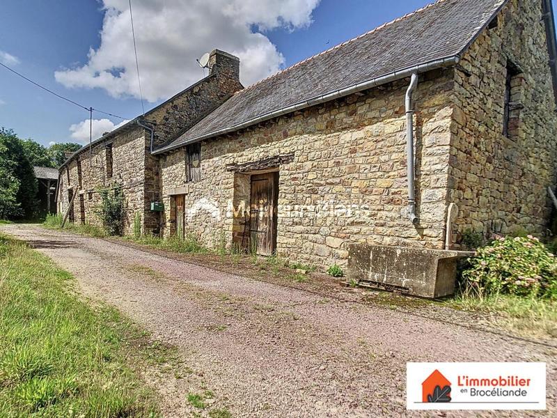 Longère - 250 m² - 5 pièces