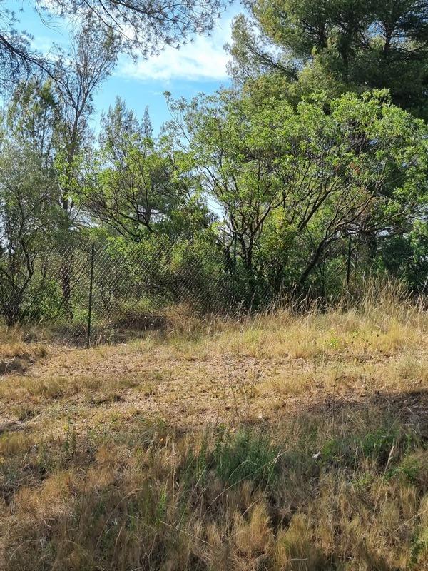 Terrain constructible - 1 060 m²