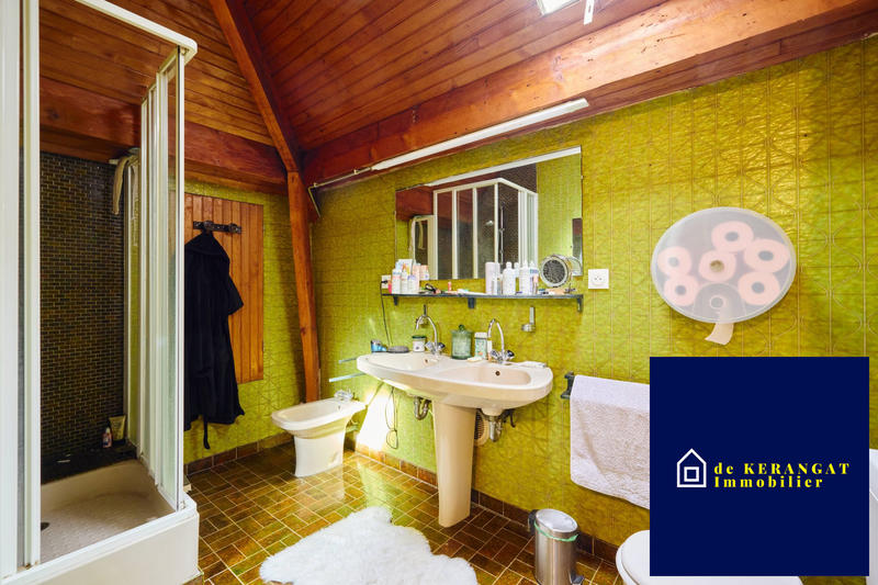 Maison traditionnelle - 230 m² - 8 pièces