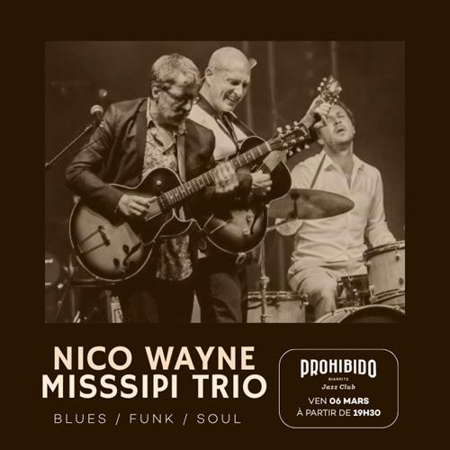 Prohibido Biarritz Jazz Club - Nico Wayne MiSSSippi Trio