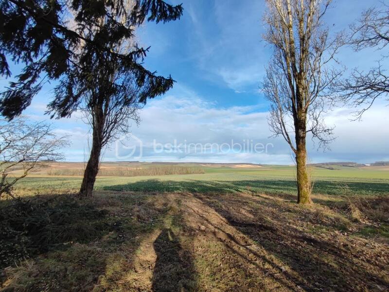 Pavillon - 60 m² - 3 pièces