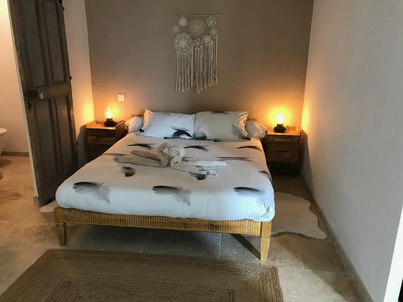 Mas - 530 m² - 8 pièces