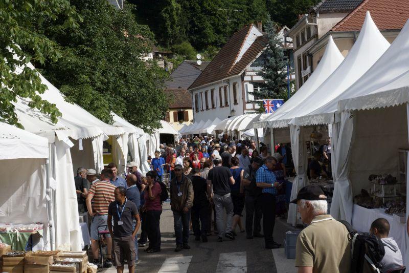 61ème édition : Mineral &amp; Gem - Nuances de Fer