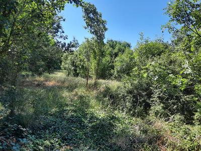 Maison - 202 m² - 8 pièces