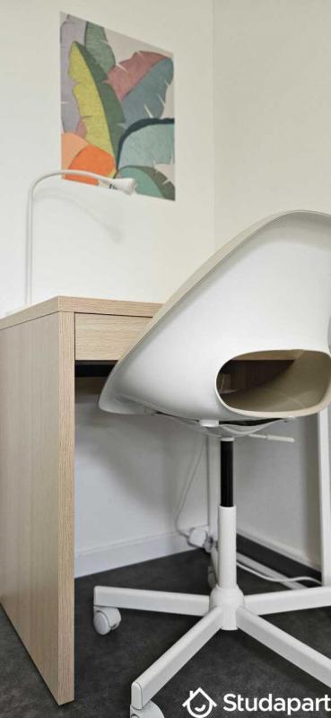 Appartement - 66 m² - 1 pièce