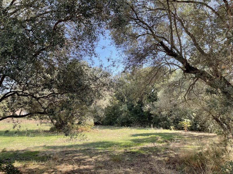 Maison de village - 55 m² - 4 pièces