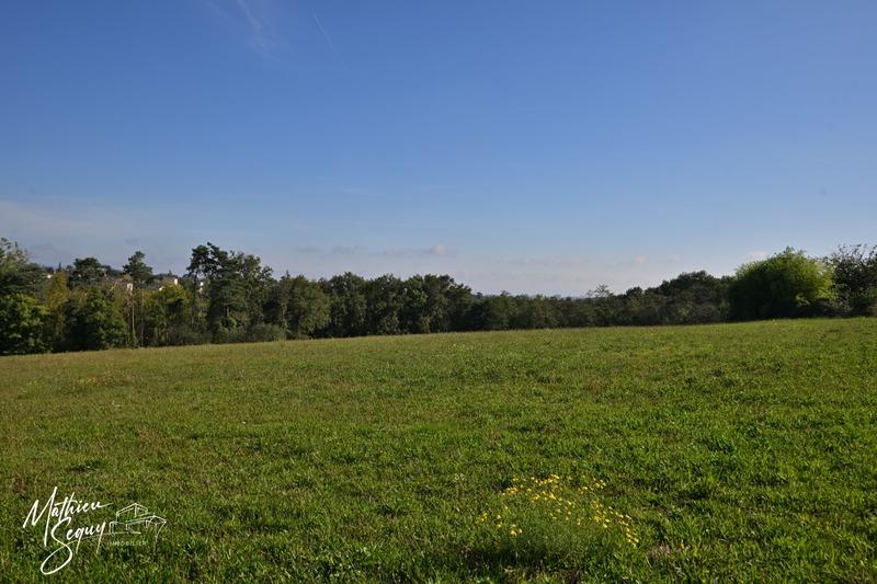 Appartement - 75 m² - 4 pièces