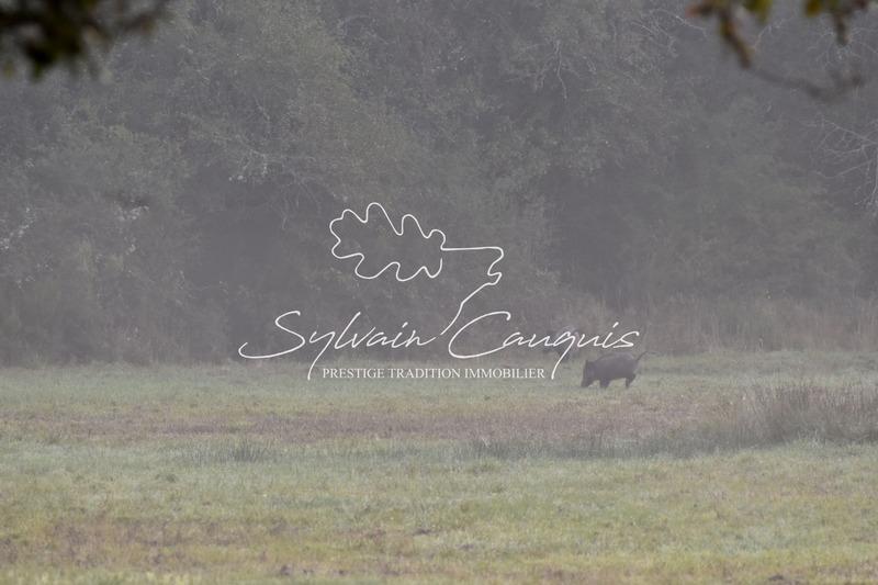 Propriété - 800 m² - 25 pièces