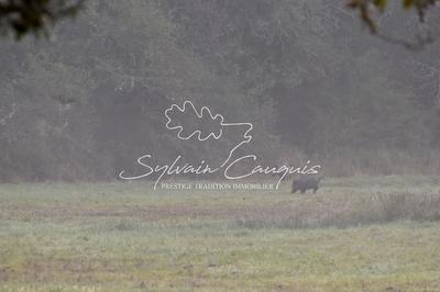 Propriété - 800 m² - 25 pièces