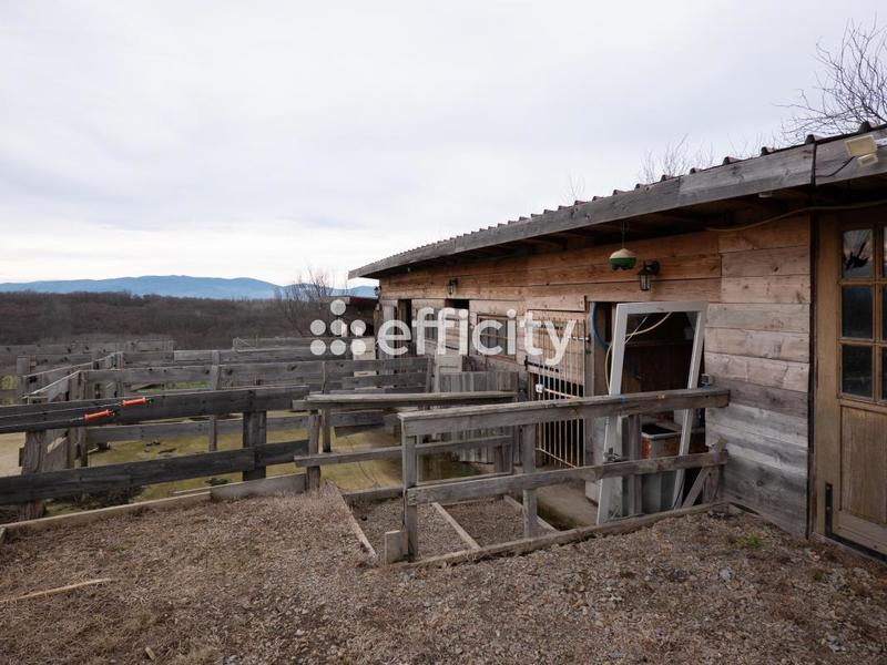 Ferme - 387 m² - 15 pièces