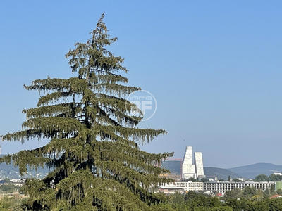 Maison - 240 m² - 5 pièces