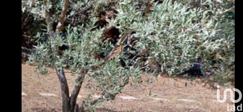 Maison de campagne - 116 m² - 4 pièces