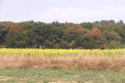 Maison de campagne - 125 m² - 6 pièces